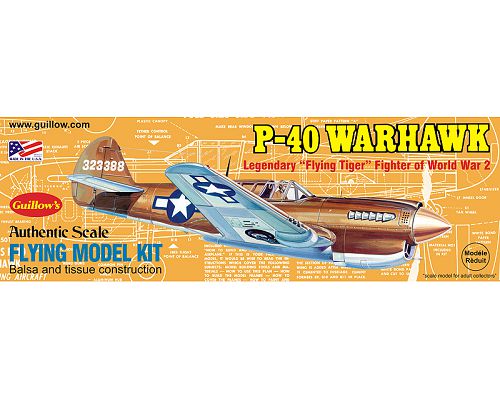 Guillow's Warhawk Balsa Plane Model Kit