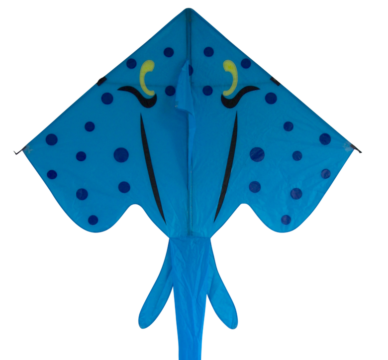 Stingray - Blue